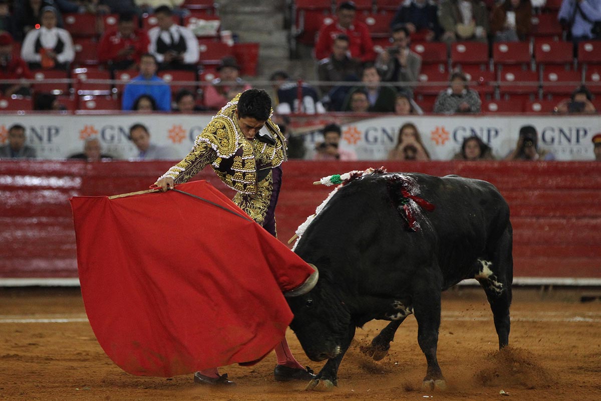 Toros, Quintana roo,