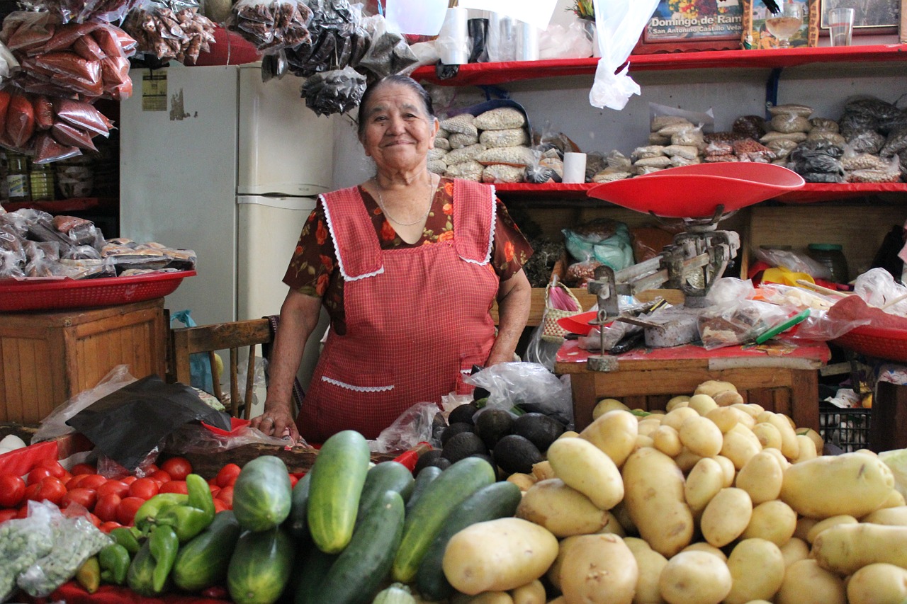 calidad de vida, satisfacción de vida, México