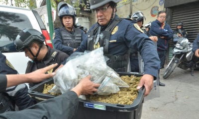 Tepito, Peralvillo 33, operativo, Droga, Policía capitalina, Omar García Harfuch, Juez Delgadillo,