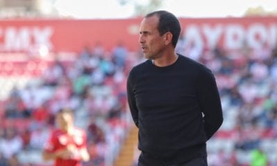 Xolos se queda sin técnico. Foto: Twitter