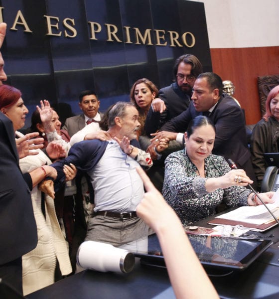 Rosario Piedra, CNDH, Senado, Gustavo Madero,