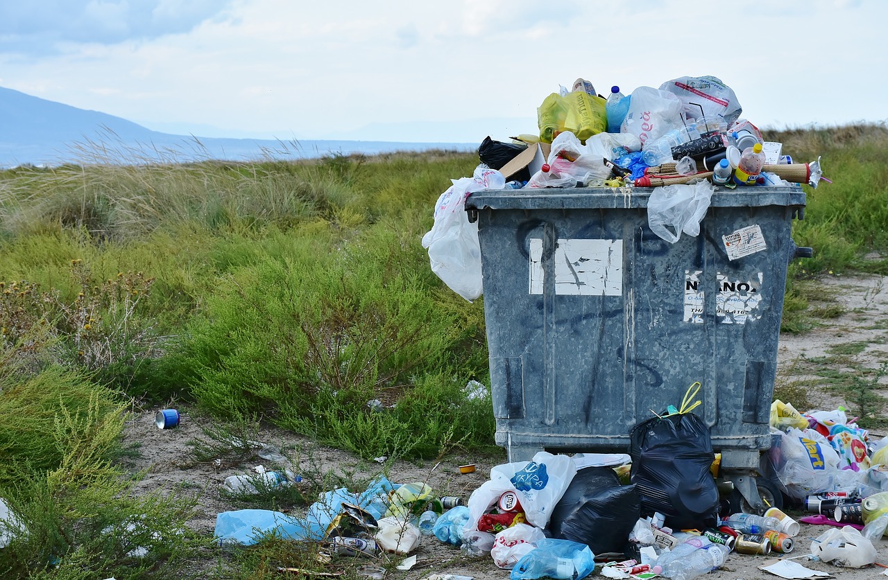 El plástico es una de las principales preocupaciones ecológicas. Foto: Pixabay