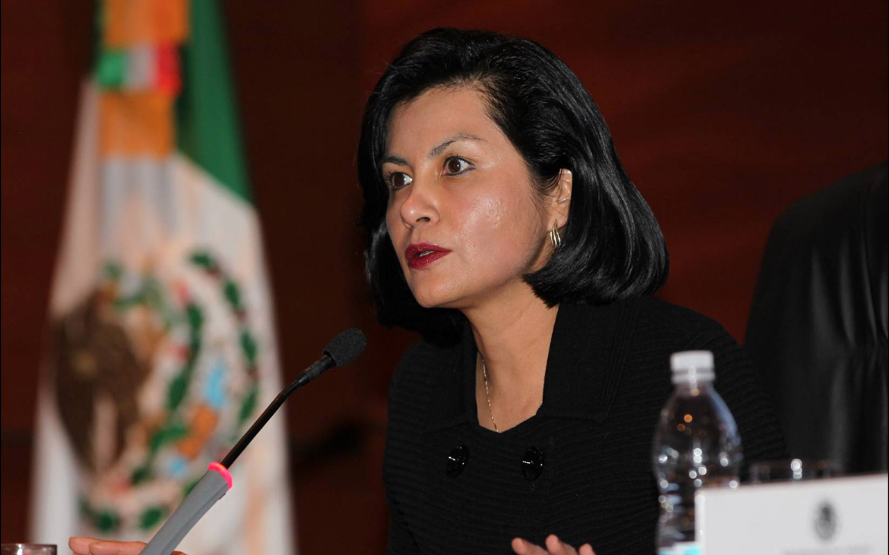 Irma Leticia Flores, Consejo de la Judicatura, SCJN,
