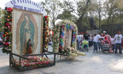 Virgen, Guadalupe