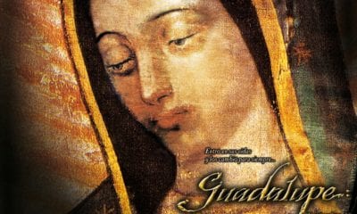 Virgen de Guadalupe películas