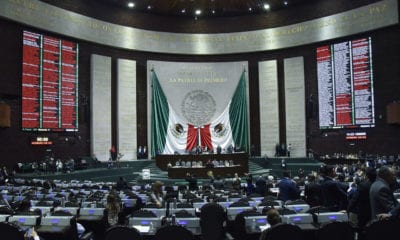 Proveedor externo de la Cámara de Diputados da positivo a prueba de COVID-19