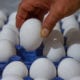 Multas de hasta 3 millones de pesos a quien encarezca huevo, frijol y tortilla