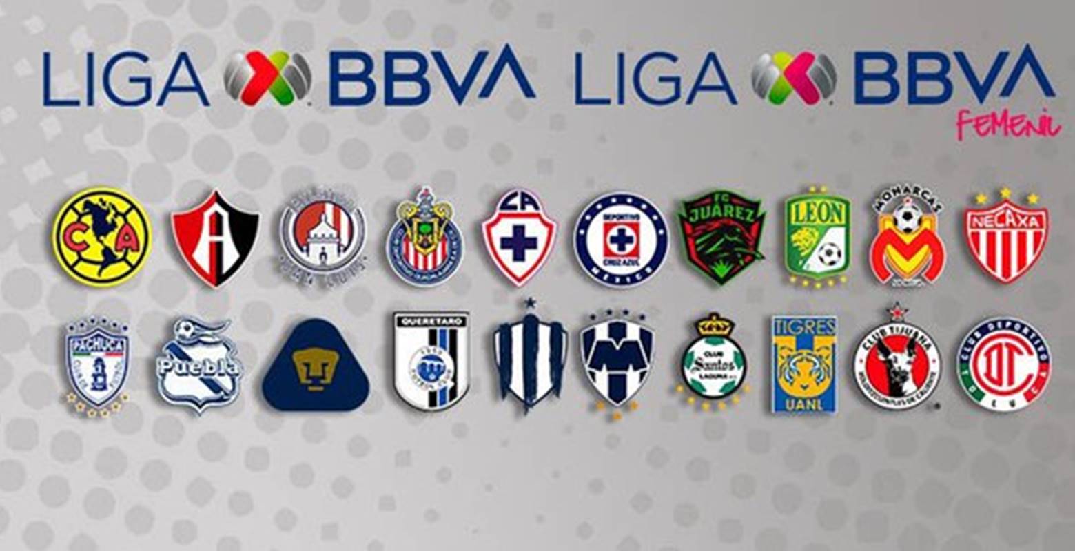 Liga MX decide dar por concluido el torneo de Clausura 2020; Cruz Azul se quedó con las ganas