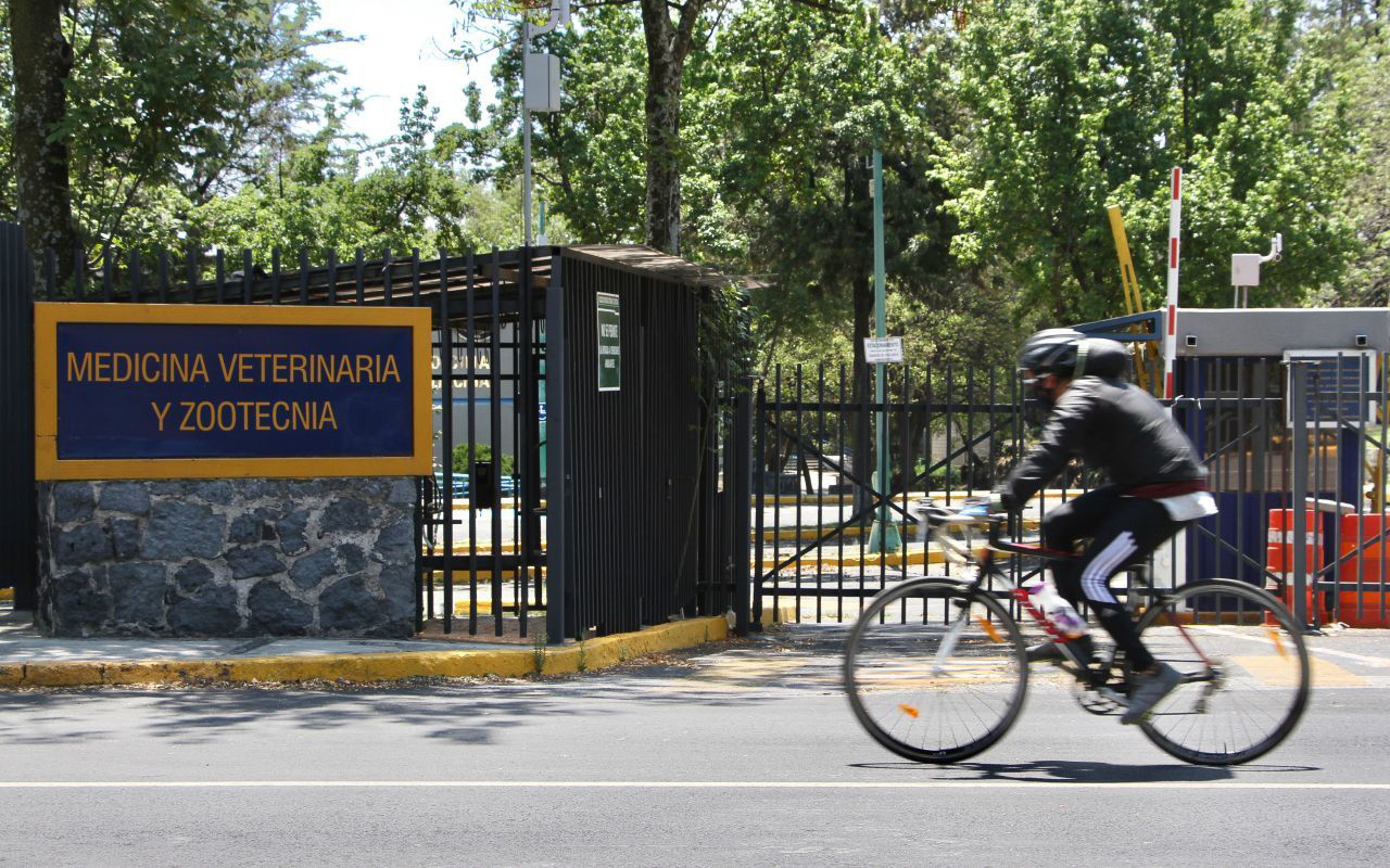UNAM no regresa a clases mientras el semáforo epidemiológico esté en rojo