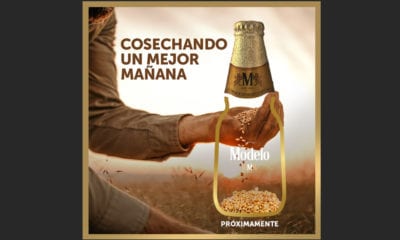 Grupo Modelo elaborará “cerveza especial” con cebada de agricultores mexicanos