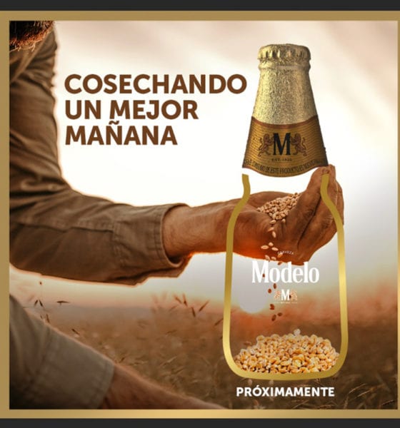 Grupo Modelo elaborará “cerveza especial” con cebada de agricultores mexicanos