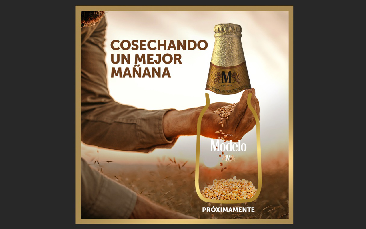 Grupo Modelo elaborará “cerveza especial” con cebada de agricultores mexicanos