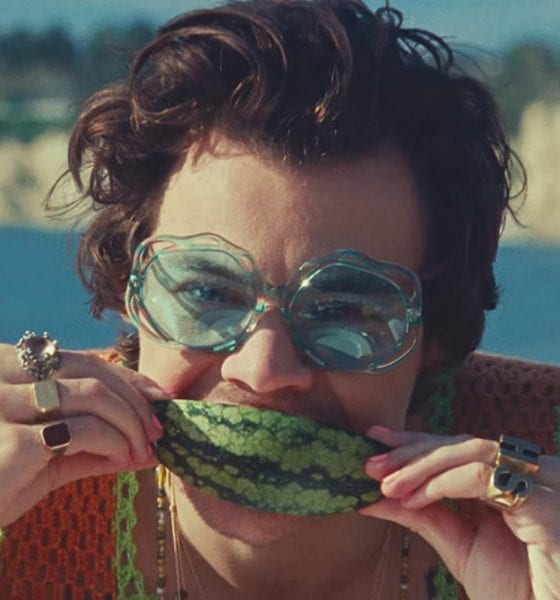 Watermelon sugar el nuevo video de Harry Styles