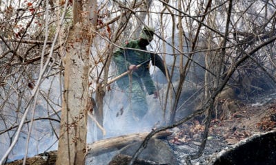 En México se combaten 73 incendios forestales de los cuales 98% fueron provocados o por descuido