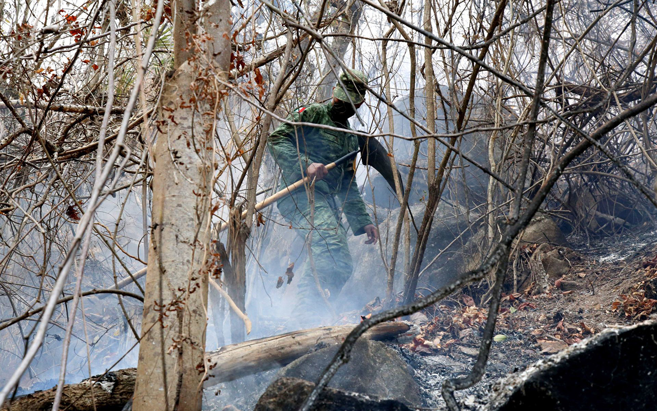 En México se combaten 73 incendios forestales de los cuales 98% fueron provocados o por descuido