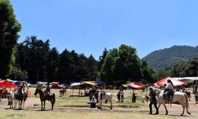 Mantienen prohibidas cabalgatas, tirolesa, cuatrimotos y gotcha