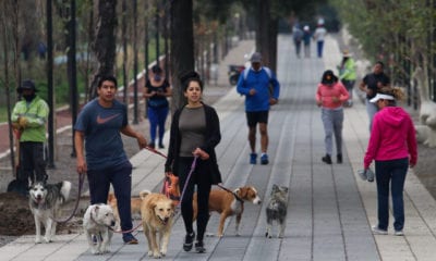 No cerrarán actividades económicas ni culturales en la CDMX