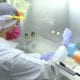 Investigadores del IMSS participan en propuestas para el desarrollo de una vacuna contra el Covid