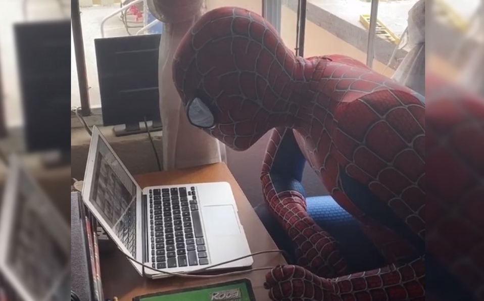 maestro, Spider-man, clases en línea