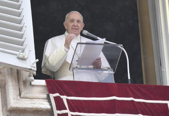 Papa Francisco se solidariza con víctimas de los incendios. Foto: Twitter Vatican News