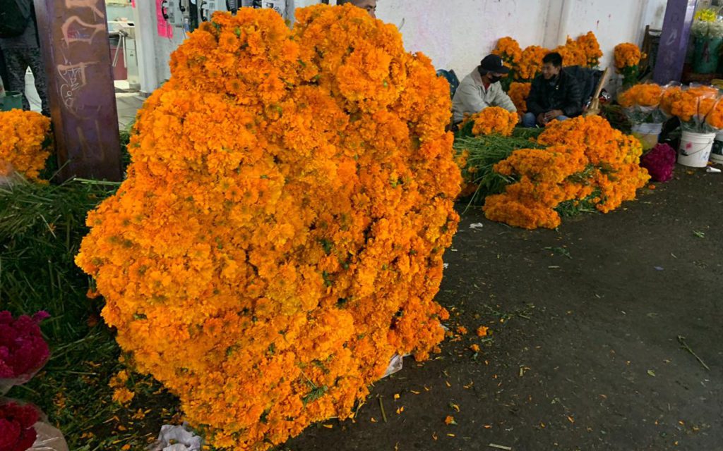 Reportan bajas ventas de flor de cempasúchil en CDMX