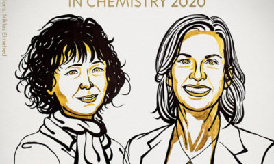 Otorgan Nobel de Química a investigadoras por "tijeras genéticas"