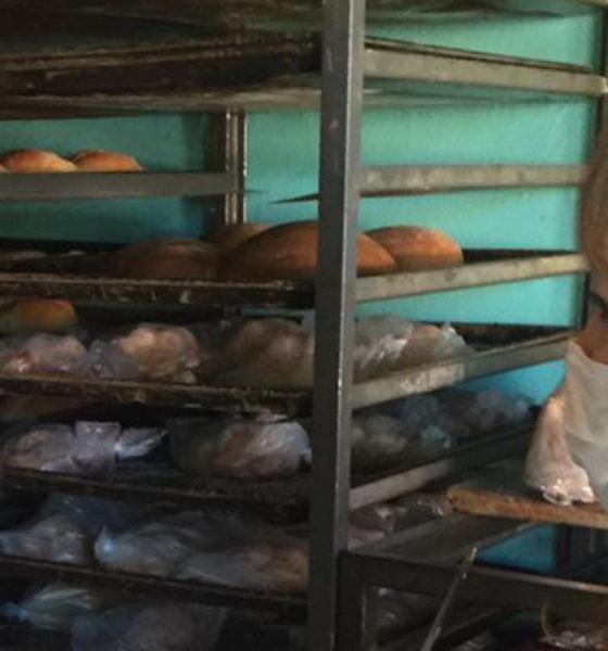 Previo a Día de Muertos, suspenden a panaderías antihigiénicas