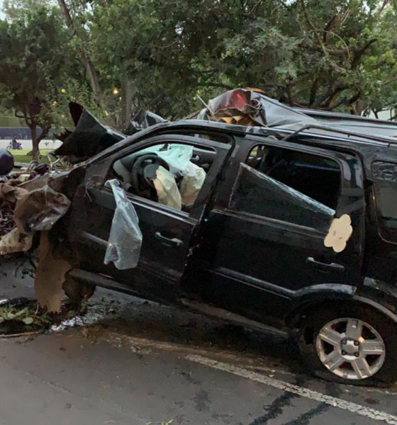 Mujer muere al impactar su camioneta contra árboles