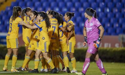 Definida la final de la Liga MX femenil. Foto: Twitter Tigres