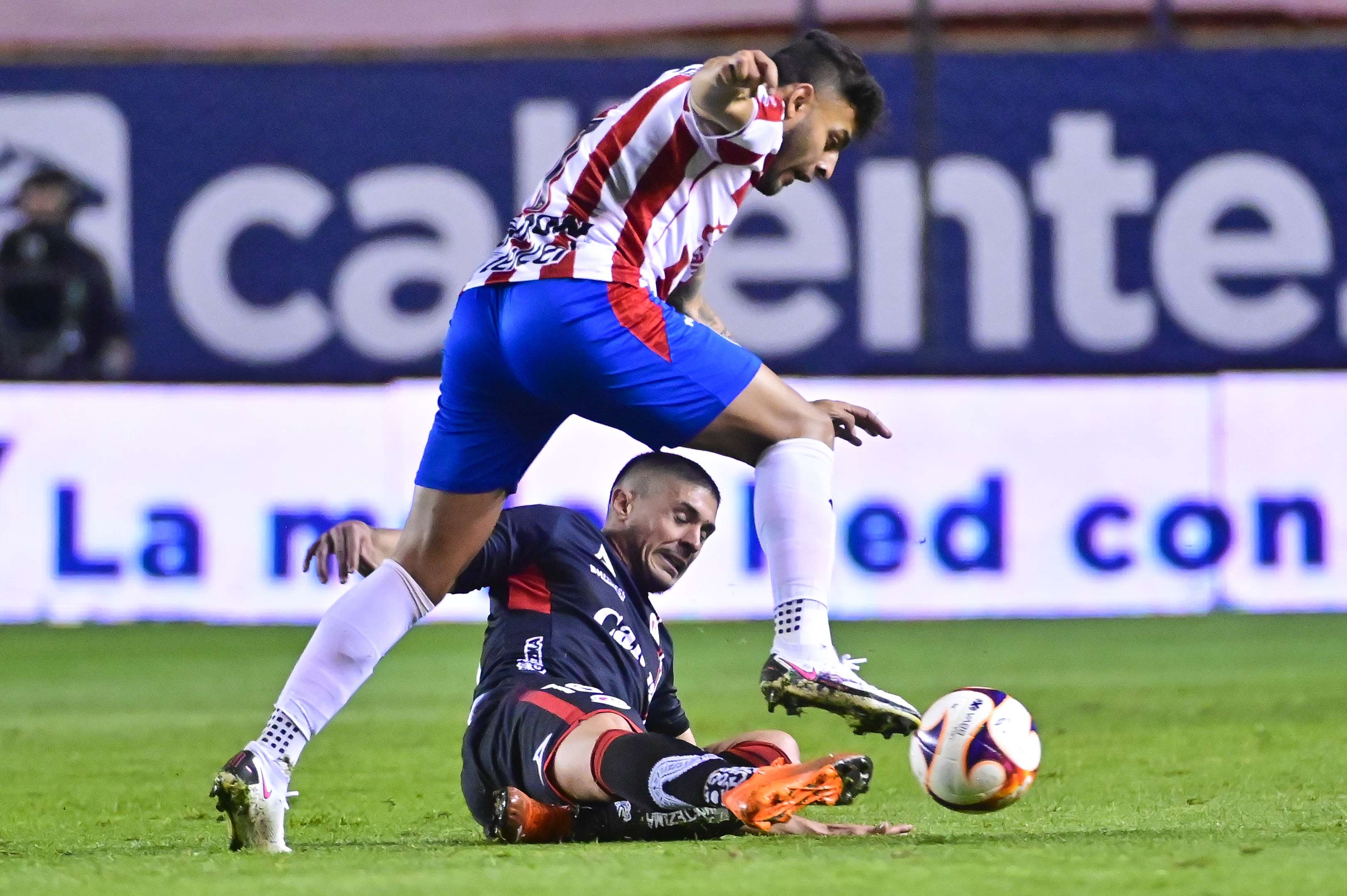 Atlético de San Luis derrota al ‘rebaño’ en casa. Noticias en tiempo real