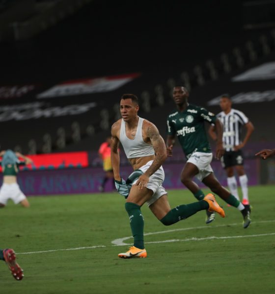 Palmeiras campeón de la Copa Libertadores. Foto: Twitter @Brasileirao_GO