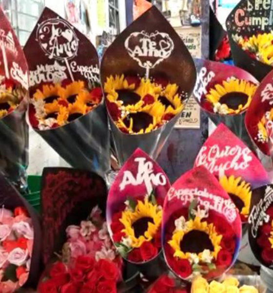 Pandemia afecta venta de flores previo al 14 de febrero