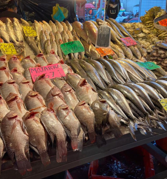 Covid pega a ventas de pescado en la Nueva Viga