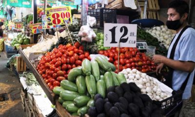 Autosuficiencia alimentaria, lo que salvará a México