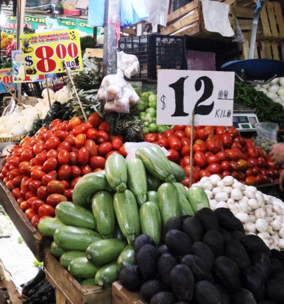 Autosuficiencia alimentaria, lo que salvará a México