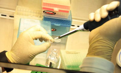 Refuerza UNAM laboratorios para evaluación preclínica de vacunas contra Covid