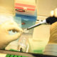 Refuerza UNAM laboratorios para evaluación preclínica de vacunas contra Covid