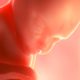 autonomía reproductiva - aborto ConParticipación