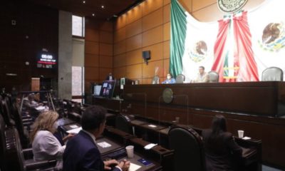 Aprueban en comisión ampliar mandato de Zaldívar en SCJN