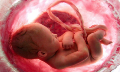 https://www.lifenews.com/2021/05/06/texas-house-passes-bill-to-ban-abortions-after-unborn-babys-heart-begins-beating/