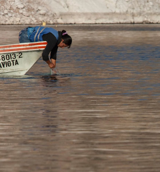 En 2023 dejarán de tomar agua contaminada en La Laguna