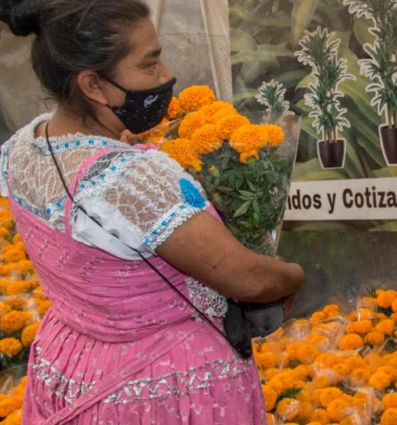 Fuente: Secretaría de Agricultura