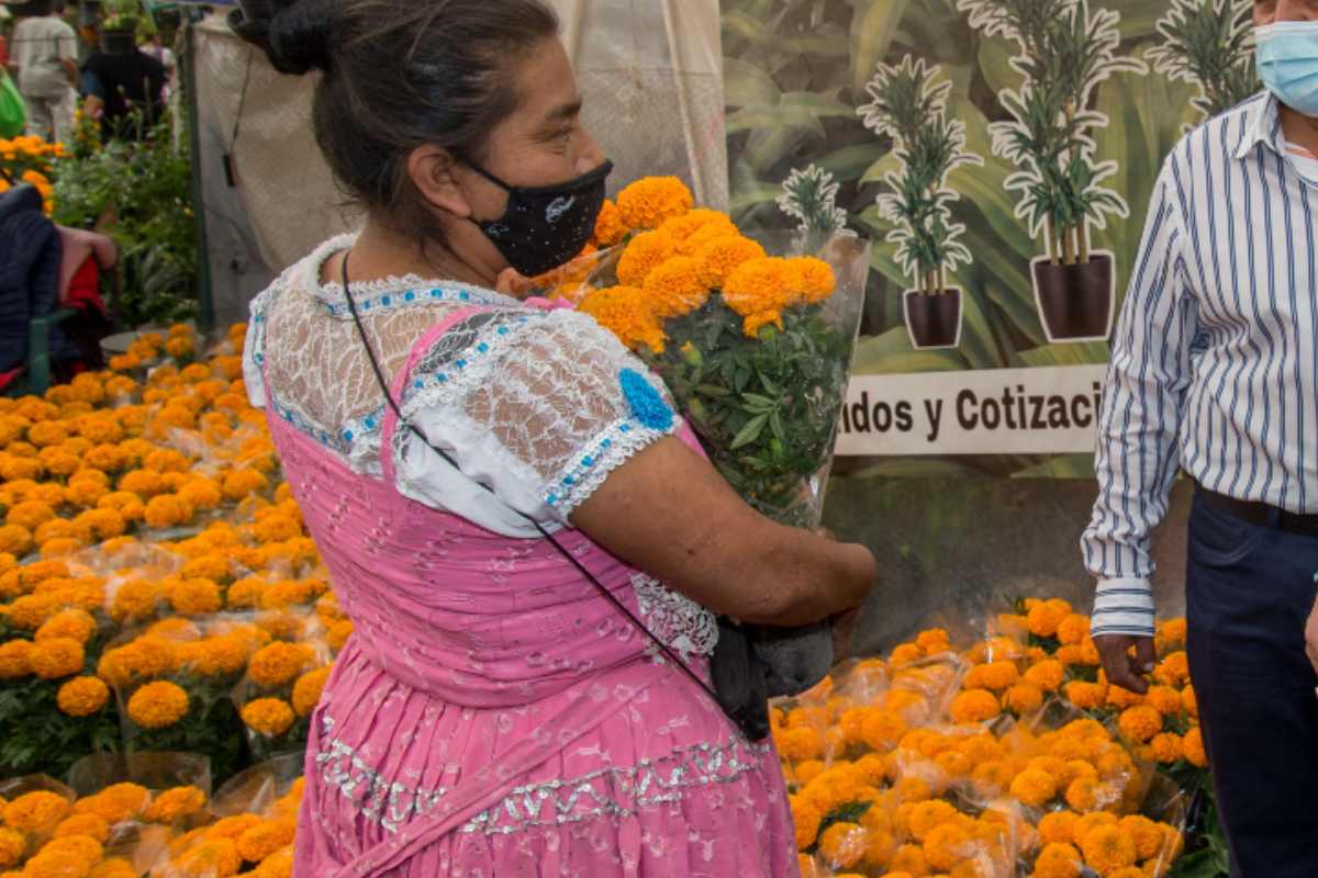 Fuente: Secretaría de Agricultura