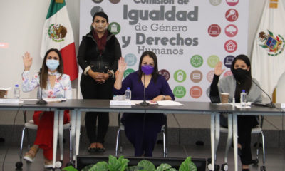 El PAN en Querétaro está en favor de la vida: diputada Marmolejo