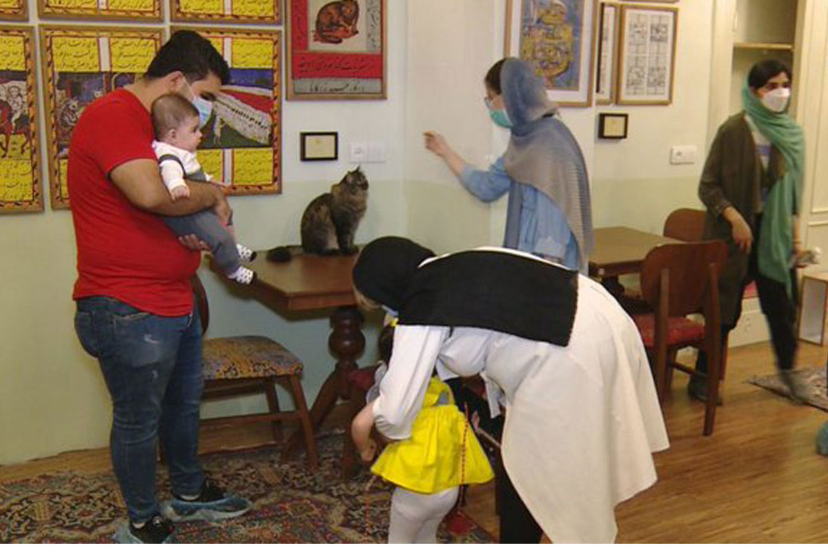 Irán estudia prohibir tener perros y gatos en casa porque son “impuros”