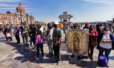 ¿Cómo homenajear a la Virgen de Guadalupe en pandemia?