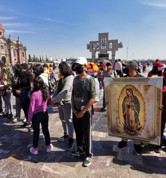 ¿Cómo homenajear a la Virgen de Guadalupe en pandemia?
