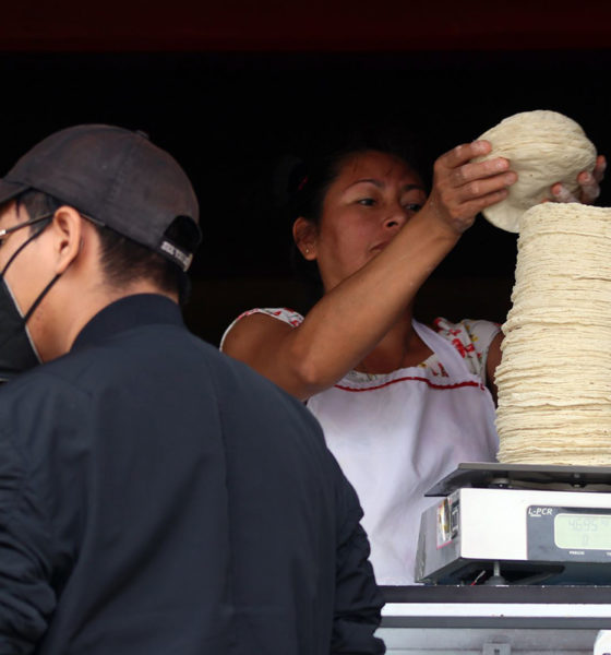 Con incremento al salario, familias comprarán 3.5 kilos de tortillas al día, revela funcionaria