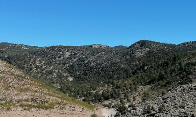 Poder Judicial frena Área Natural Protegida de la sierra de San Miguelito