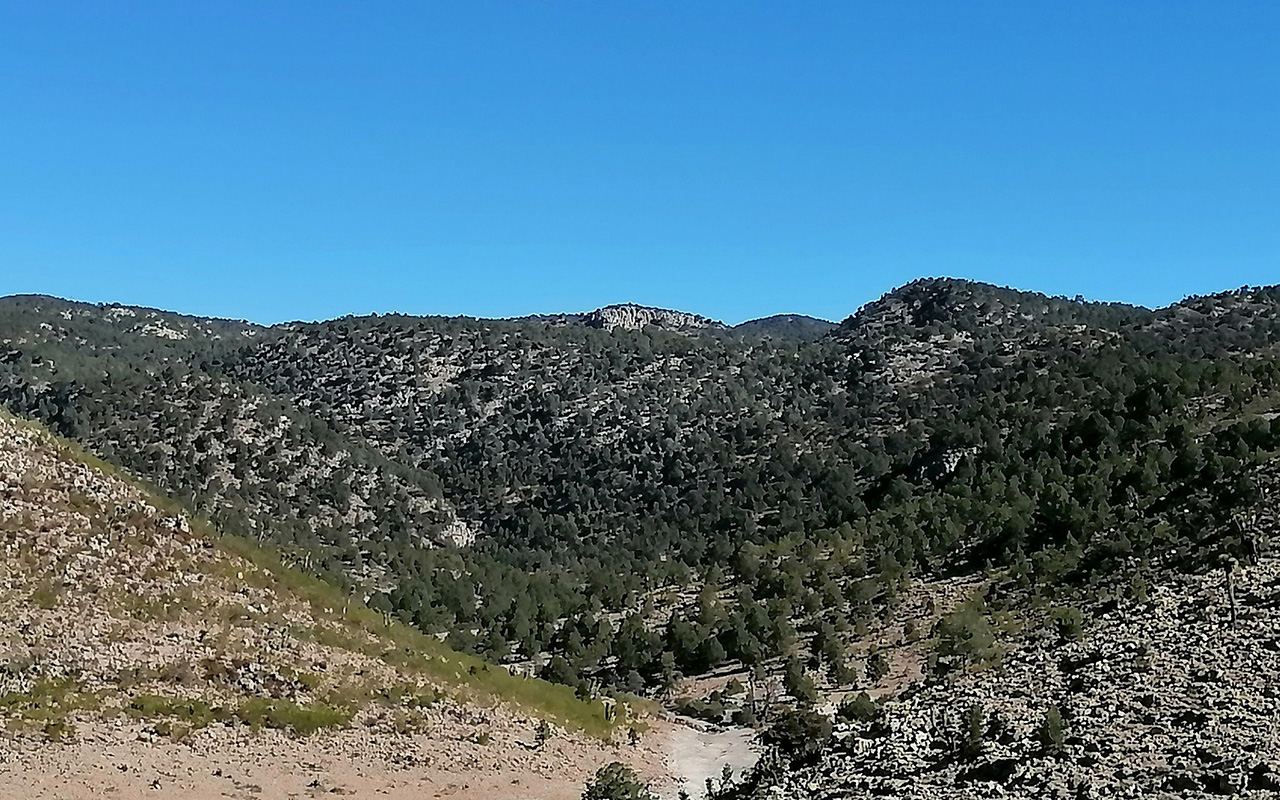 Poder Judicial frena Área Natural Protegida de la sierra de San Miguelito